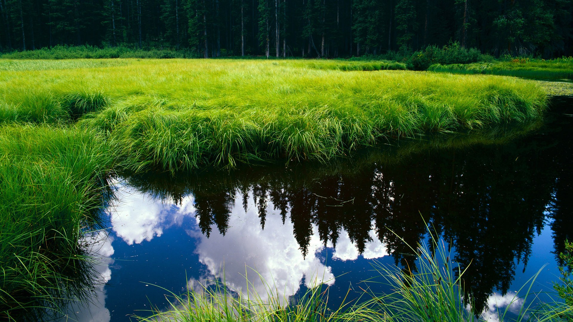 爱游戏体育入口-“中国足球裁判员国际比赛执裁经验不断丰富”，中国足球裁判员查询